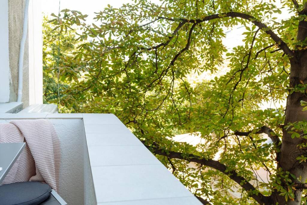 Amazing Studio - Top Location - Netflix Bukares Bagian luar foto